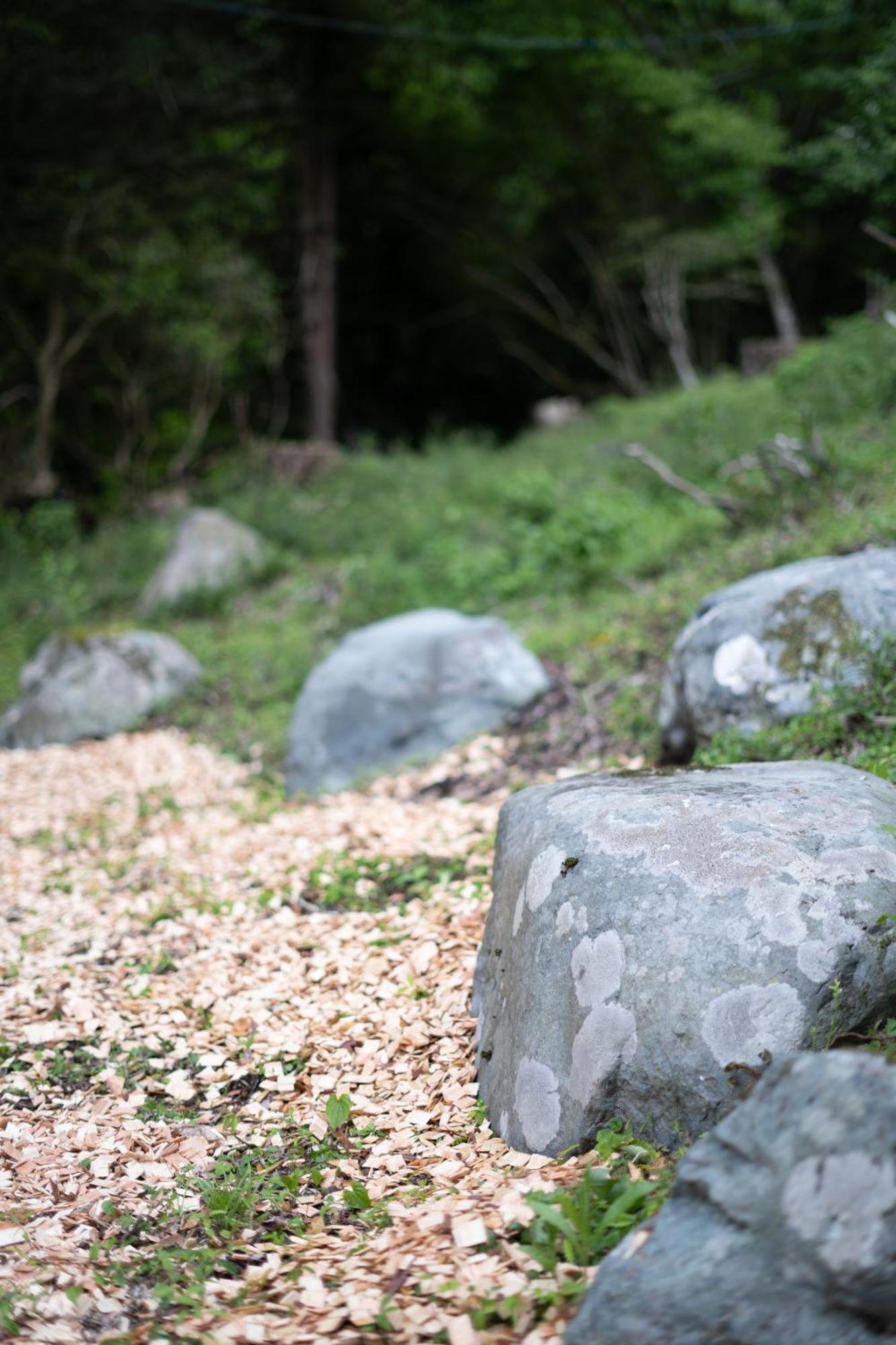 Aknot Hakone 大涌谷を望むモダニズム建築 東京から90分 Vila Exterior foto